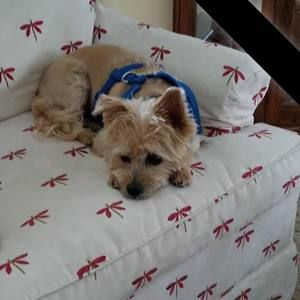 Meet your Posher, Barbara